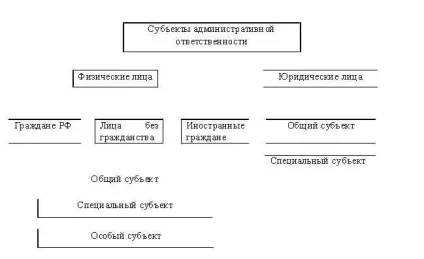 Реферат суб'єкти адміністративної відповідальності - банк рефератів, творів, доповідей, курсових і (суб'єкти) Реферат суб'єкти адміністративної відповідальності - банк рефератів, творів, доповідей, курсових і