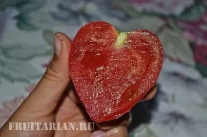 Реакція на помідори або Помідорова прихід (прихід) Реакція на помідори або Помідорова прихід