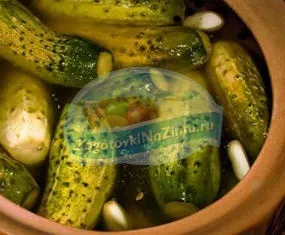 Рецепт засолювання огірків, засолювання огірків в банках, способи засолювання огірків (засолювання огірків на зиму) Рецепт засолювання огірків, засолювання огірків в банках, способи засолювання огірків
