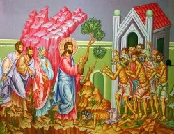 Ритуали на різдво і їх правильне проведення (різдвяні обряди) Ритуали на різдво і їх правильне проведення