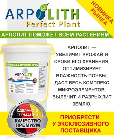 Ромашка звичайна