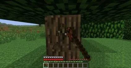 Rotten flesh