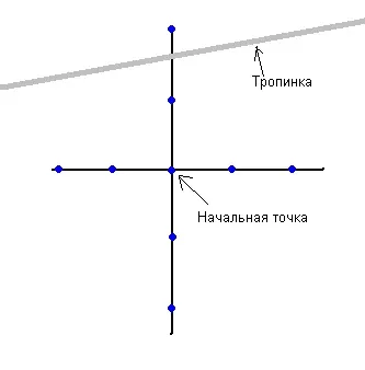Як знайти дорогу додому, якщо заблукав у лісі (знайти) Як знайти дорогу додому, якщо заблукав у лісі