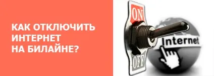 Як відключити інтернет на Білайні, як відключити інтернет на Білайні на телефоні, мій билайн (Білайн) Як відключити інтернет на Білайні, як відключити інтернет на Білайні на телефоні, мій билайн