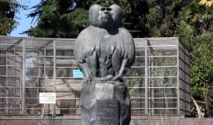 Яке море в Абхазії