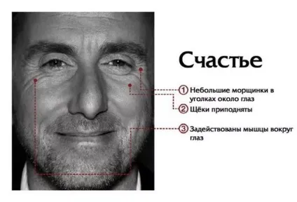 Як визначити по очах про що думає людина, наука (як визначити по очах про що думає людина) Як визначити по очах про що думає людина, наука