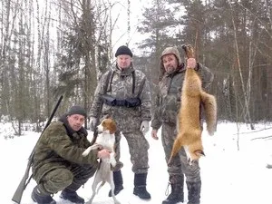 Російський гончак