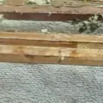 Збірка гнізда бджіл на зиму, практичне бджільництво (бджільництво для початківців) Збірка гнізда бджіл на зиму, практичне бджільництво