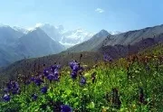 Санаторії гірського алтая і алтайського краю з лікуванням ціни на 2017 рік (путівки) Санаторії гірського алтая і алтайського краю з лікуванням ціни на 2017 рік