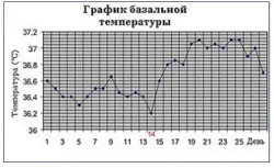 Самостійна розшифровка графіка базальної температури, як розшифрувати графік бт
