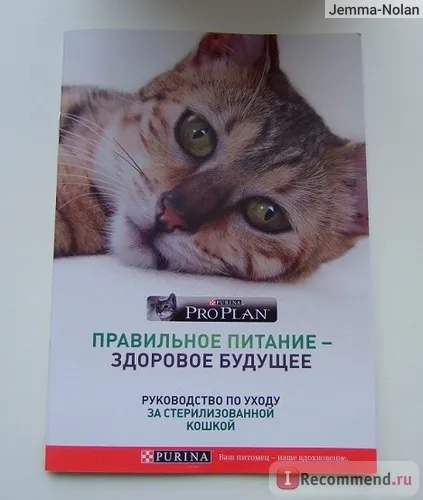 Сайт - «отримати безкоштовний корм для кішки це реально! », Відгуки покупців (кішки) Сайт - «отримати безкоштовний корм для кішки це реально!