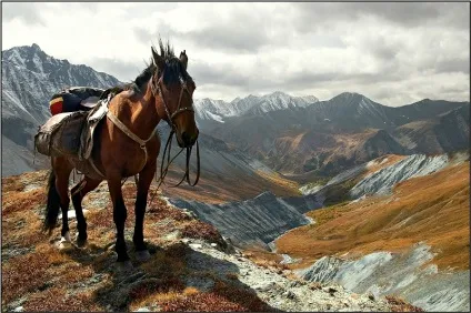 Санаторії гірського алтая і алтайського краю з лікуванням ціни на 2017 рік (алтая) Санаторії гірського алтая і алтайського краю з лікуванням ціни на 2017 рік