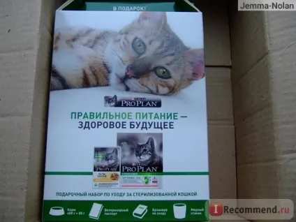 Сайт - «отримати безкоштовний корм для кішки це реально! », Відгуки покупців (кішки) Сайт - «отримати безкоштовний корм для кішки це реально!