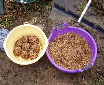 З берега з підгодовуванням