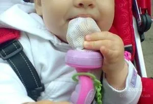 Сіточка для прикорму під назвою ниблер - що це таке і як користуватися подібним девайсом (ниблер це такий сіточка прикорм годування малюк фрукт сосок вік відгук силіконовий користуватися Ниблер) Сіточка для прикорму під назвою ниблер - що це таке і як користуватися подібним девайсом
