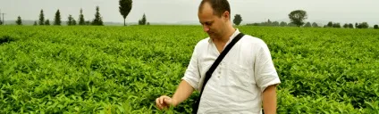 Кульки нареченої з жасмином і лілією - інтернет-магазин унція (враження вашому блокноті) Кульки нареченої з жасмином і лілією - інтернет-магазин унція