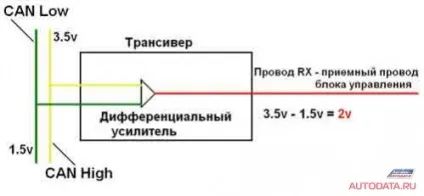 шина can