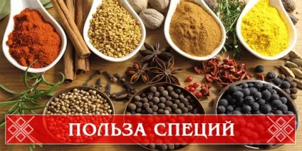 Школа очима душі