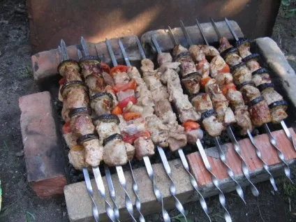 Шашлик маринований в помідорах - рецепти з фото (торти) Шашлик маринований в помідорах - рецепти з фото