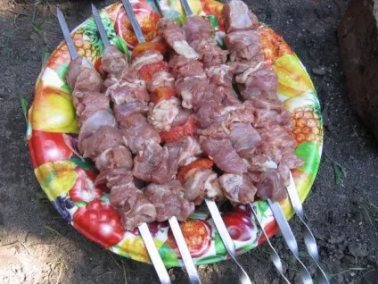 Шашлик маринований в помідорах - рецепти з фото (супи) Шашлик маринований в помідорах - рецепти з фото