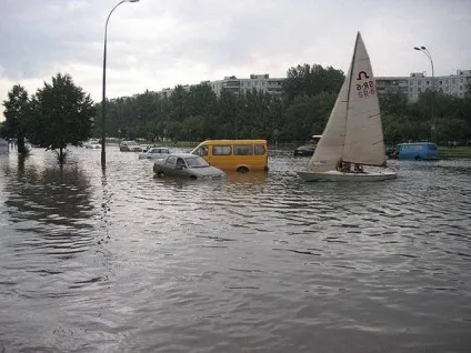 Школа, дівчата