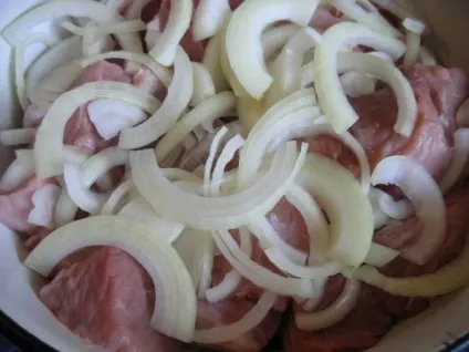 Шашлик маринований в помідорах - рецепти з фото (рецепти) Шашлик маринований в помідорах - рецепти з фото