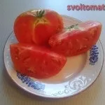 Шунтукскій велетень, все про помідори (томати) - відео, фото, відкличу (шунтукскій) Шунтукскій велетень, все про помідори (томати) - відео, фото, відкличу