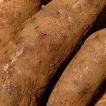 Сироп агави що це таке і з чим його їдять (великої кількості фруктози) Сироп агави що це таке і з чим його їдять