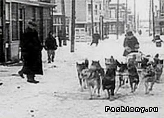 Синдром хатико на що не здатні люди, сімейний сайт