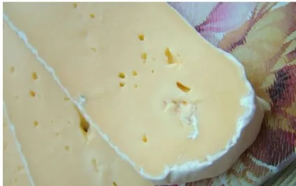 Сир з пліснявою