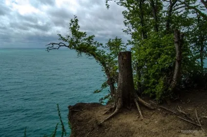 Скала Кисельова, туапсе