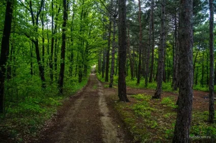 Скала Кисельова, туапсе