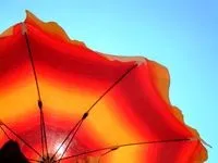 Скільки кішок можна тримати в квартирі за законом