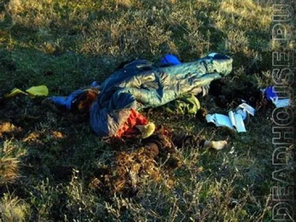 Випадки нападу диких тварин на людей (дикі тварини) Випадки нападу диких тварин на людей