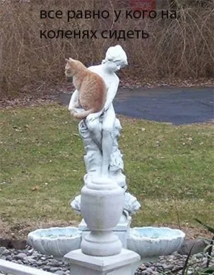 Смішні картинки про котів з написами (котів) Смішні картинки про котів з написами