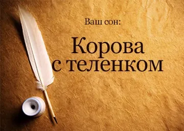 Сонник корова з телям жінці бачити уві сні до чого сниться (сонник) Сонник корова з телям жінці бачити уві сні до чого сниться