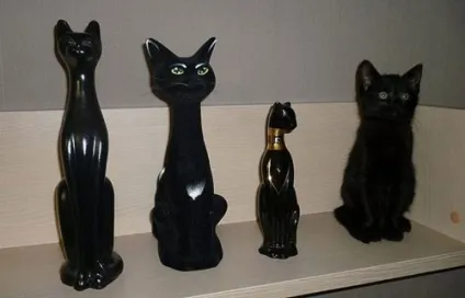Смішні картинки про котів з написами (котів) Смішні картинки про котів з написами