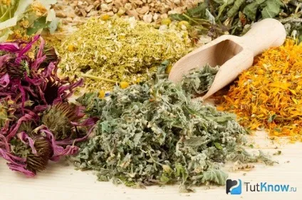Солодка для лікування кашлю як приготувати, протипоказання