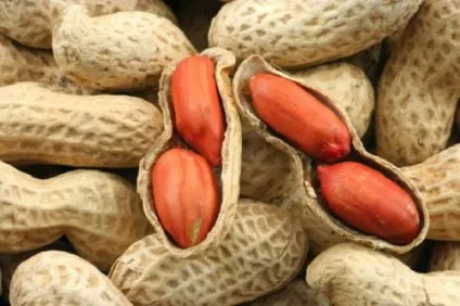 Солоний арахіс - що потрібно знати про продукт (потрібно) Солоний арахіс - що потрібно знати про продукт