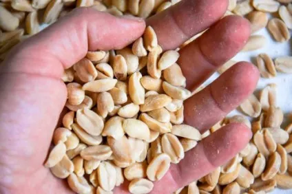 Солоний арахіс - що потрібно знати про продукт (арахіс) Солоний арахіс - що потрібно знати про продукт