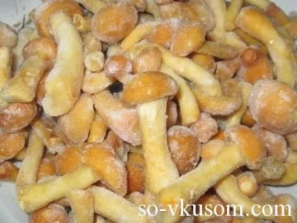 Солянка з грибами і куркою, рецепти з фото (другі страви) Солянка з грибами і куркою, рецепти з фото