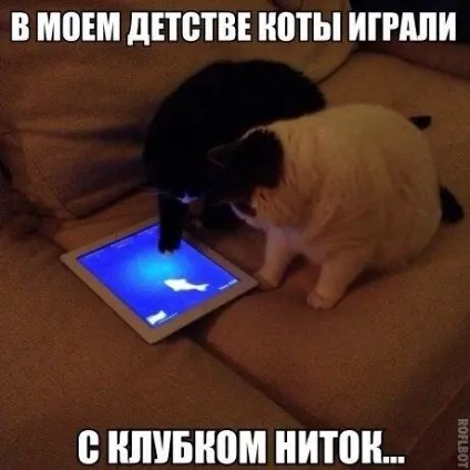 Смішні картинки про котів з написами (котів) Смішні картинки про котів з написами