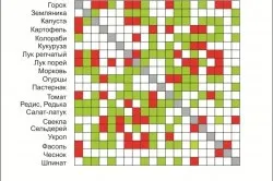 Сумісність рослин в теплиці посадки овочевих культур (теплиці) Сумісність рослин в теплиці посадки овочевих культур