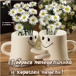 Соціальна мережа vpotoke