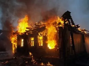 Сон про чорного кота і його тлумачення