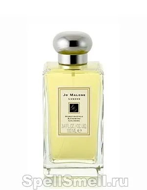 Spellsmell - парфуми із запахом жасмину (jo malone духи) Spellsmell - парфуми із запахом жасмину