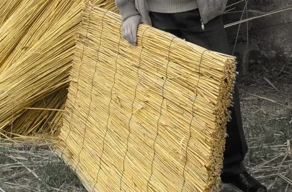 Сучасні паркани і огорожі прозорі, ажурні, з очерету, як зробити огорожу своїми руками (очерету) Сучасні паркани і огорожі прозорі, ажурні, з очерету, як зробити огорожу своїми руками