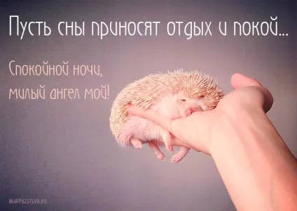 На добраніч картинки