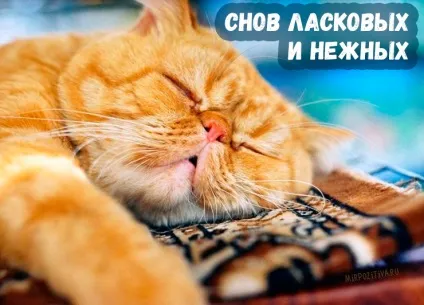 На добраніч картинки