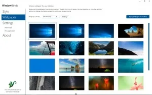 Stardock windowblinds 10